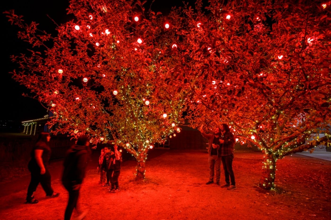 BWW Photo Feature: DCPA's Camp Christmas Returns Outdoors  Image