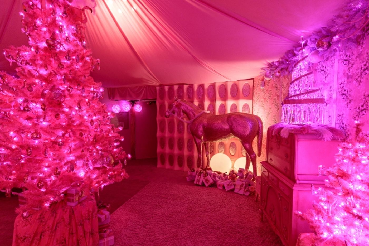 BWW Photo Feature: DCPA's Camp Christmas Returns Outdoors  Image