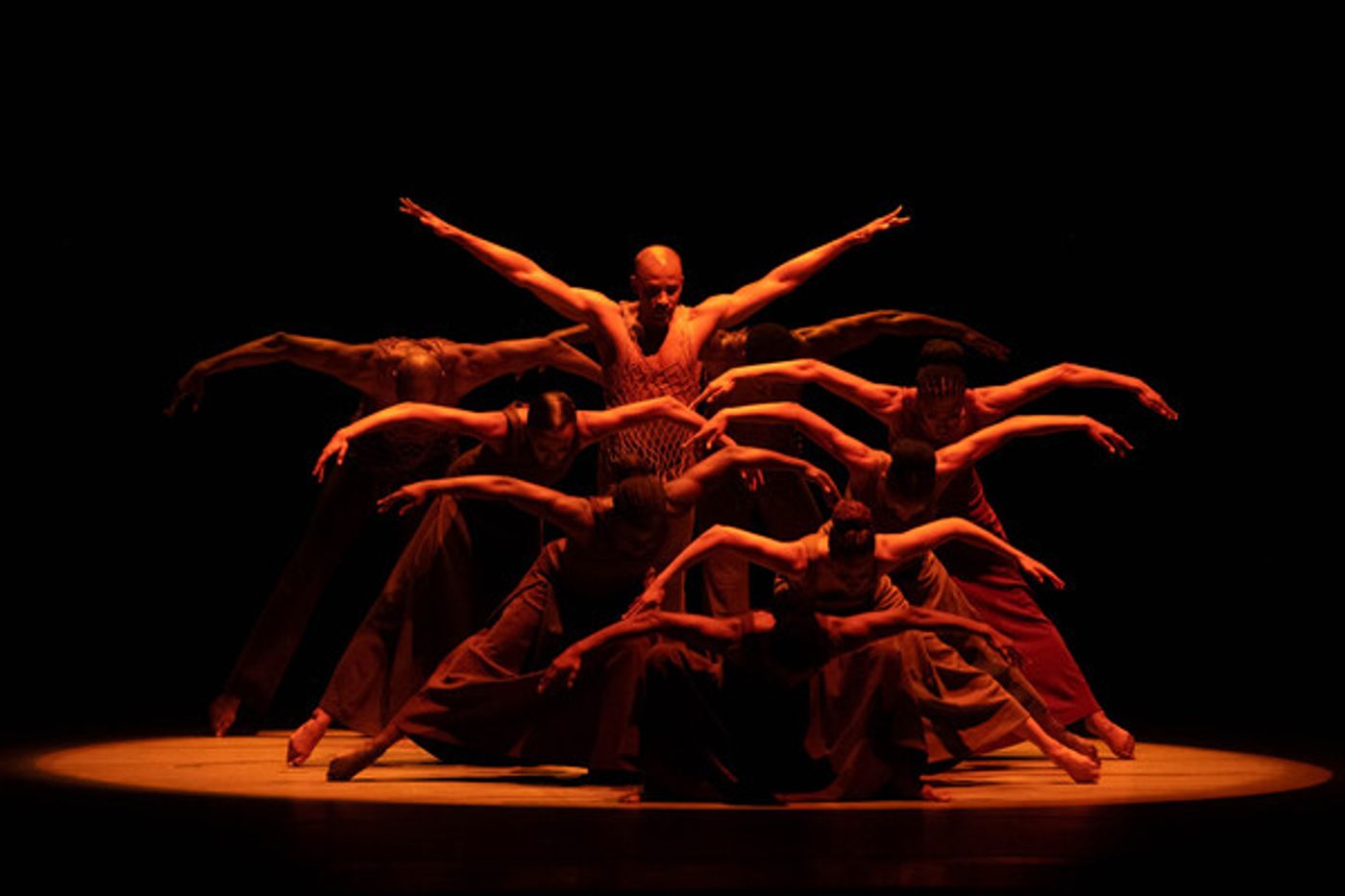 Photos: Go Inside Ailey's #REUNITEDWEDANCE Opening Night Gala Benefit  Image