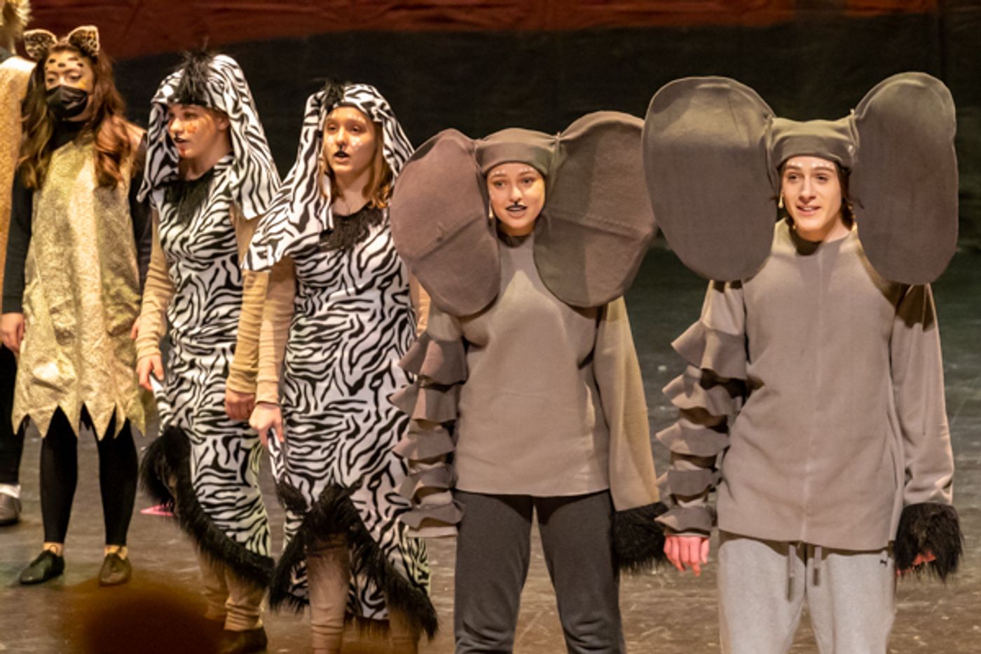Photos: Inside Dublin Jerome High School Theatre's THE LION KING, JR Photos: Inside Dublin Jerome High School Theatre's THE LION KING, JR Image