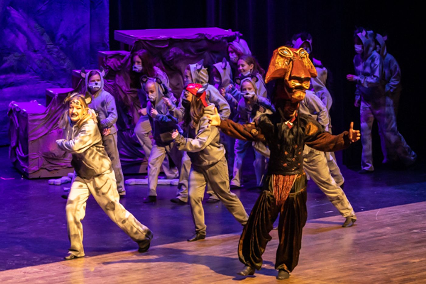 Photos: Inside Dublin Jerome High School Theatre's THE LION KING, JR Photos: Inside Dublin Jerome High School Theatre's THE LION KING, JR Image