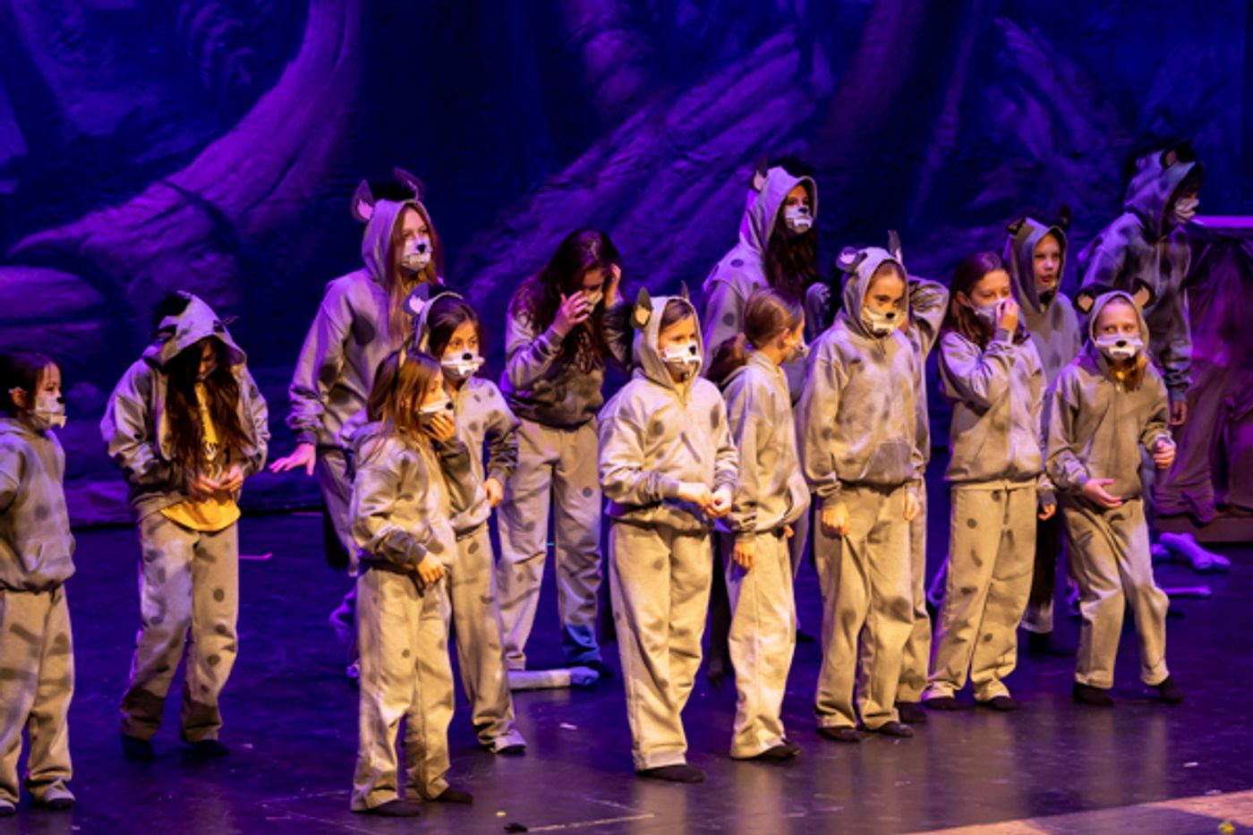 Photos: Inside Dublin Jerome High School Theatre's THE LION KING, JR Photos: Inside Dublin Jerome High School Theatre's THE LION KING, JR Image