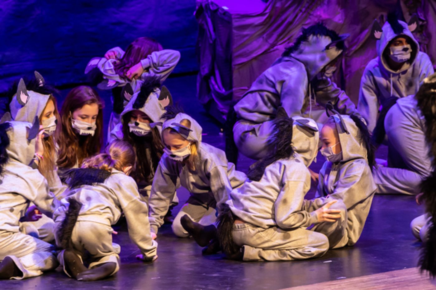 Photos: Inside Dublin Jerome High School Theatre's THE LION KING, JR Photos: Inside Dublin Jerome High School Theatre's THE LION KING, JR Image