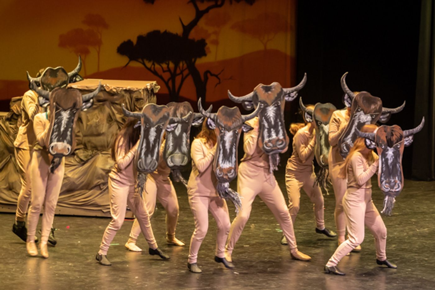 Photos: Inside Dublin Jerome High School Theatre's THE LION KING, JR Photos: Inside Dublin Jerome High School Theatre's THE LION KING, JR Image