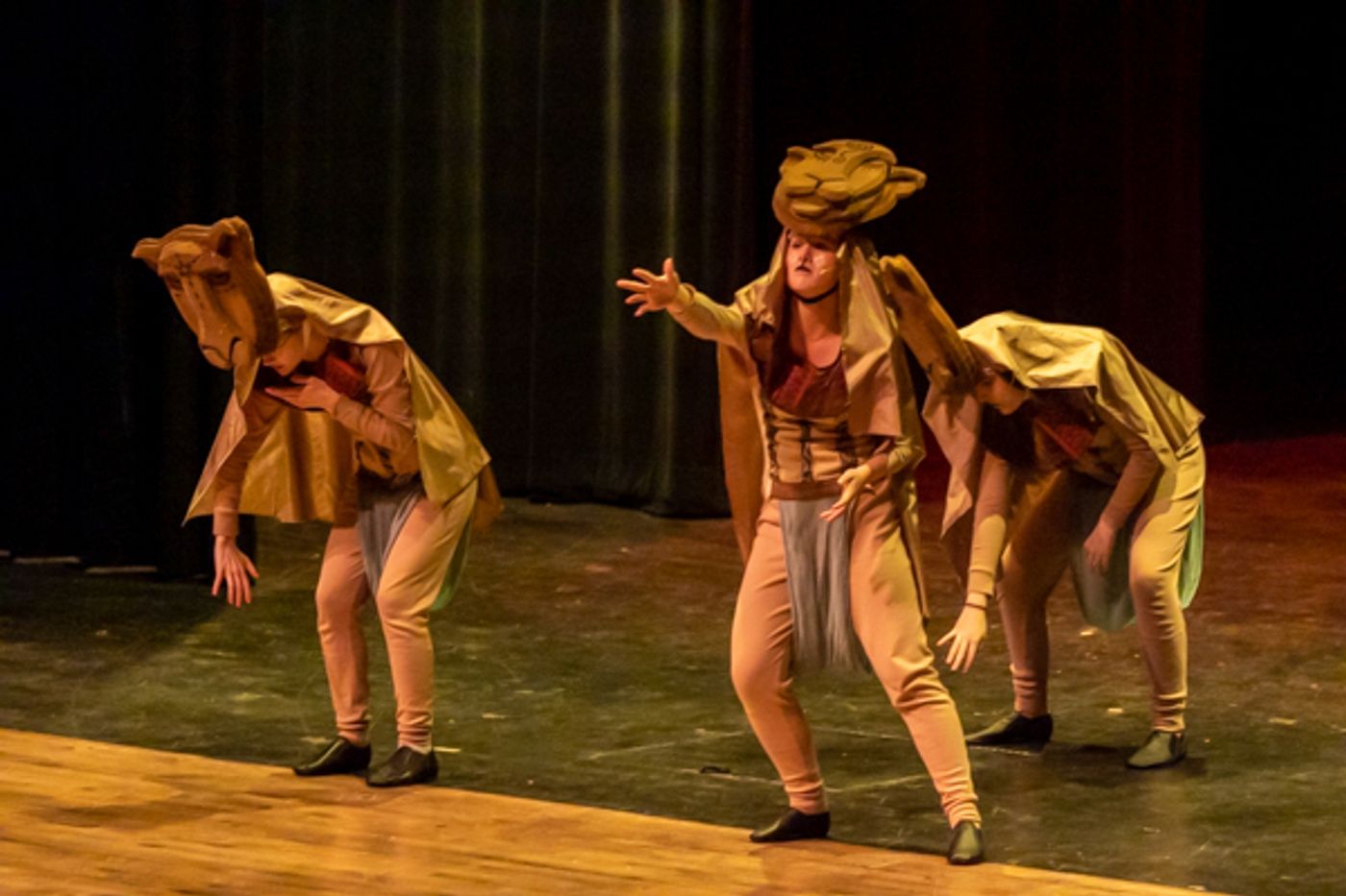 Photos: Inside Dublin Jerome High School Theatre's THE LION KING, JR Photos: Inside Dublin Jerome High School Theatre's THE LION KING, JR Image