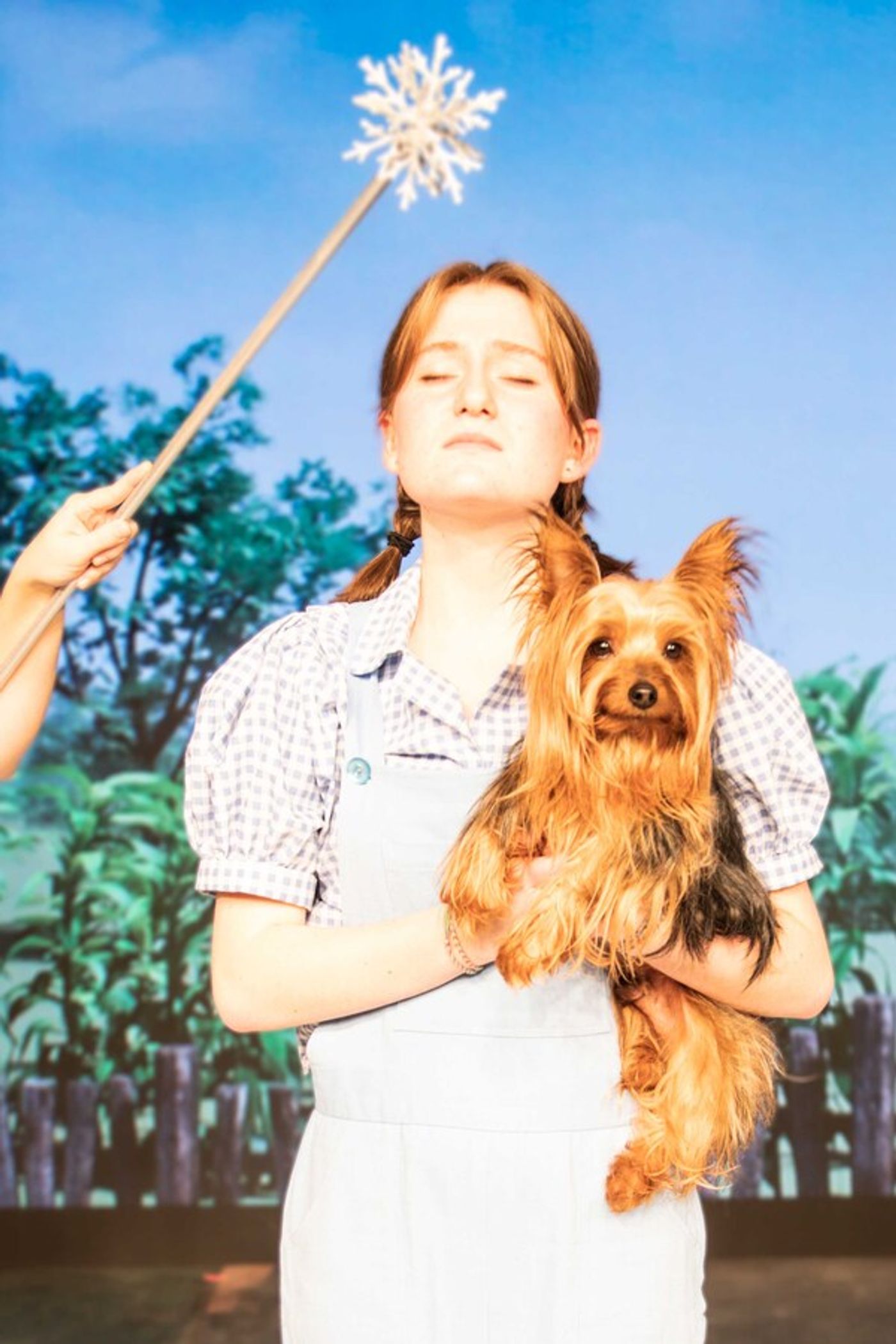 Photos: First Look at THE WIZARD OF OZ at Tacoma Little Theatre  Image