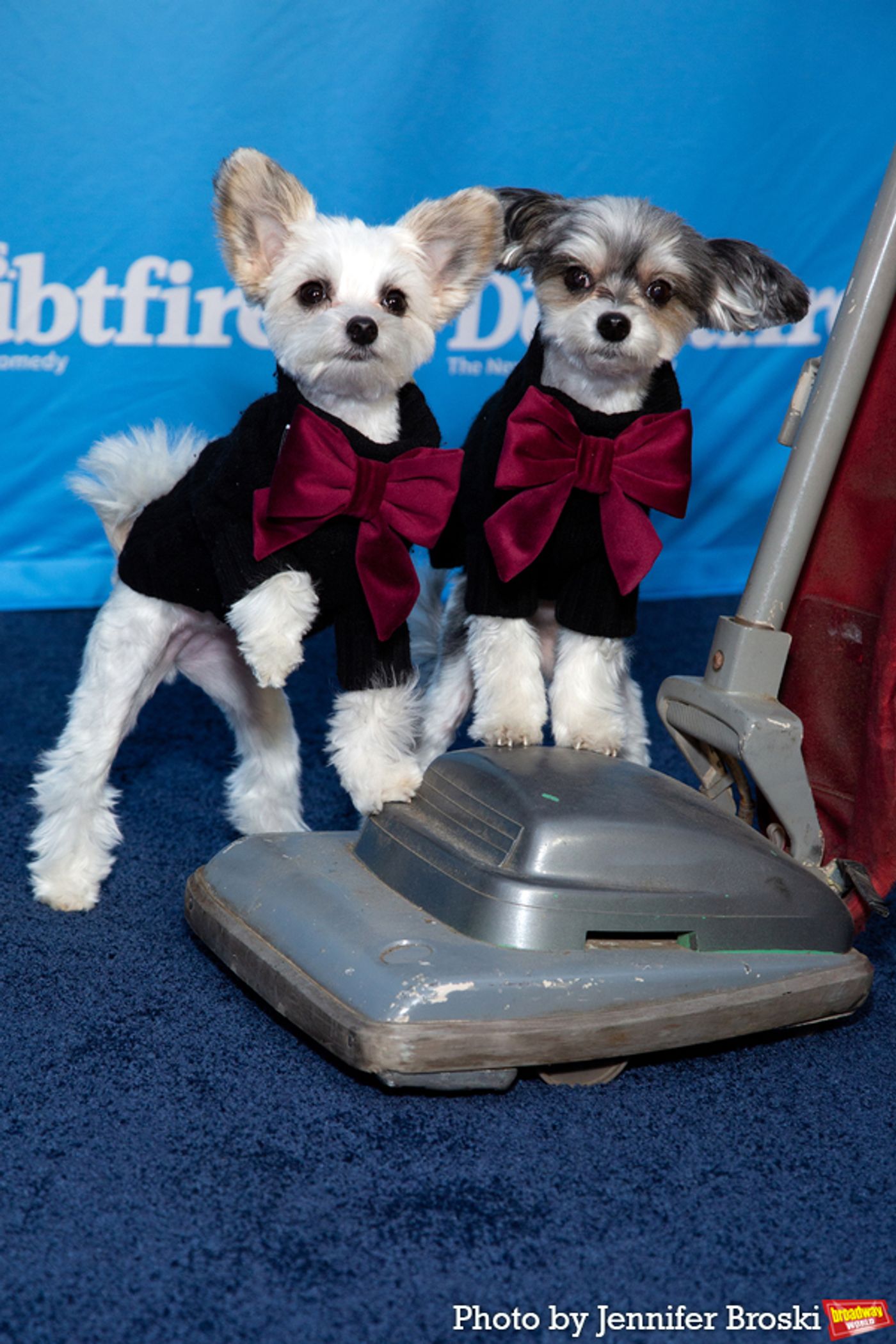 Photos: On the Opening Night Red Carpet for MRS. DOUBTFIRE  Image