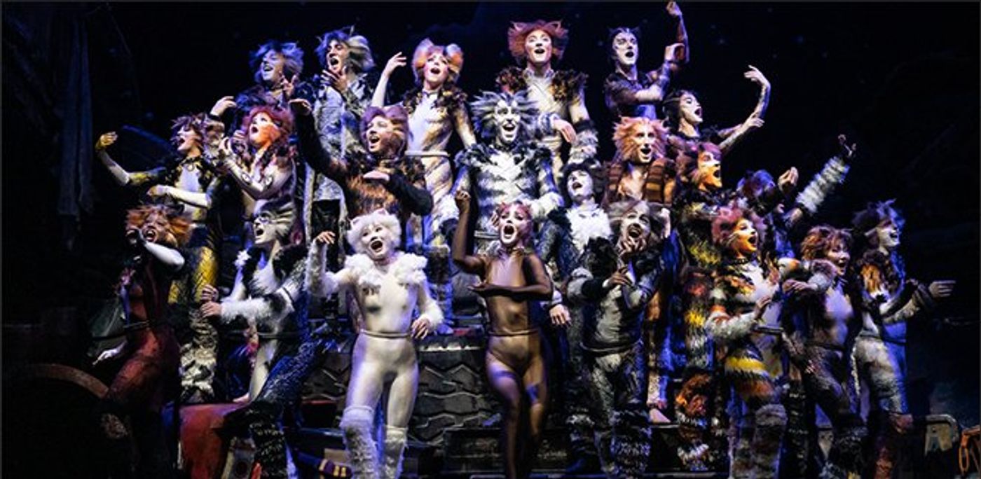 BWW Previews: CATS IS A 'PURR-FECT' SHOW FOR THE HOLIDAYS at Straz Center BWW Previews: CATS IS A 'PURR-FECT' SHOW FOR THE HOLIDAYS at Straz Center Image