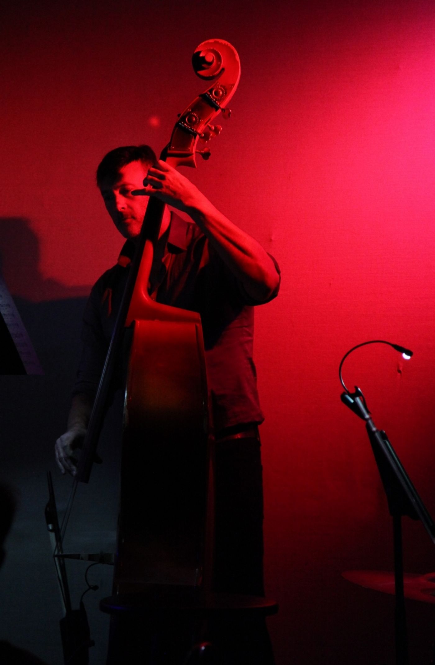 Review: Deborah Zecher Takes Don't Tell Mama Crowd to Schul with JEWISH CAROLING  Image