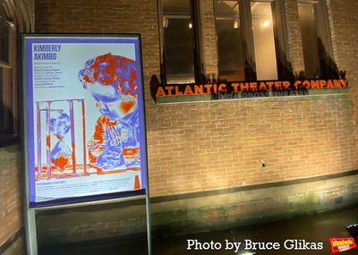 Signage at The Atlantic Theater Company's Linda Gross Theater Photo