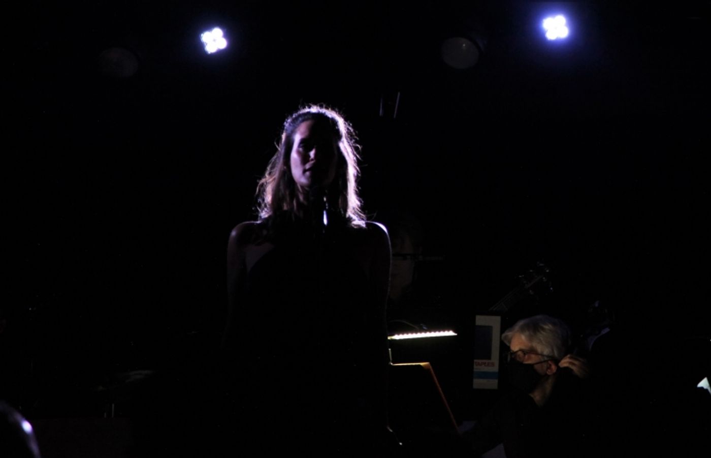 Review: Jennifer Diamond Owns Her Fabulosity In LET ME BE ME at The Green Room 42  Image