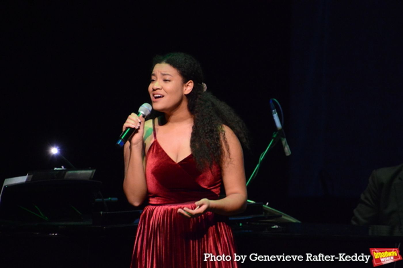 Photos: BROADWAY HOLIDAY at The Tilles Center for the Perfroming Arts LIU Post  Image