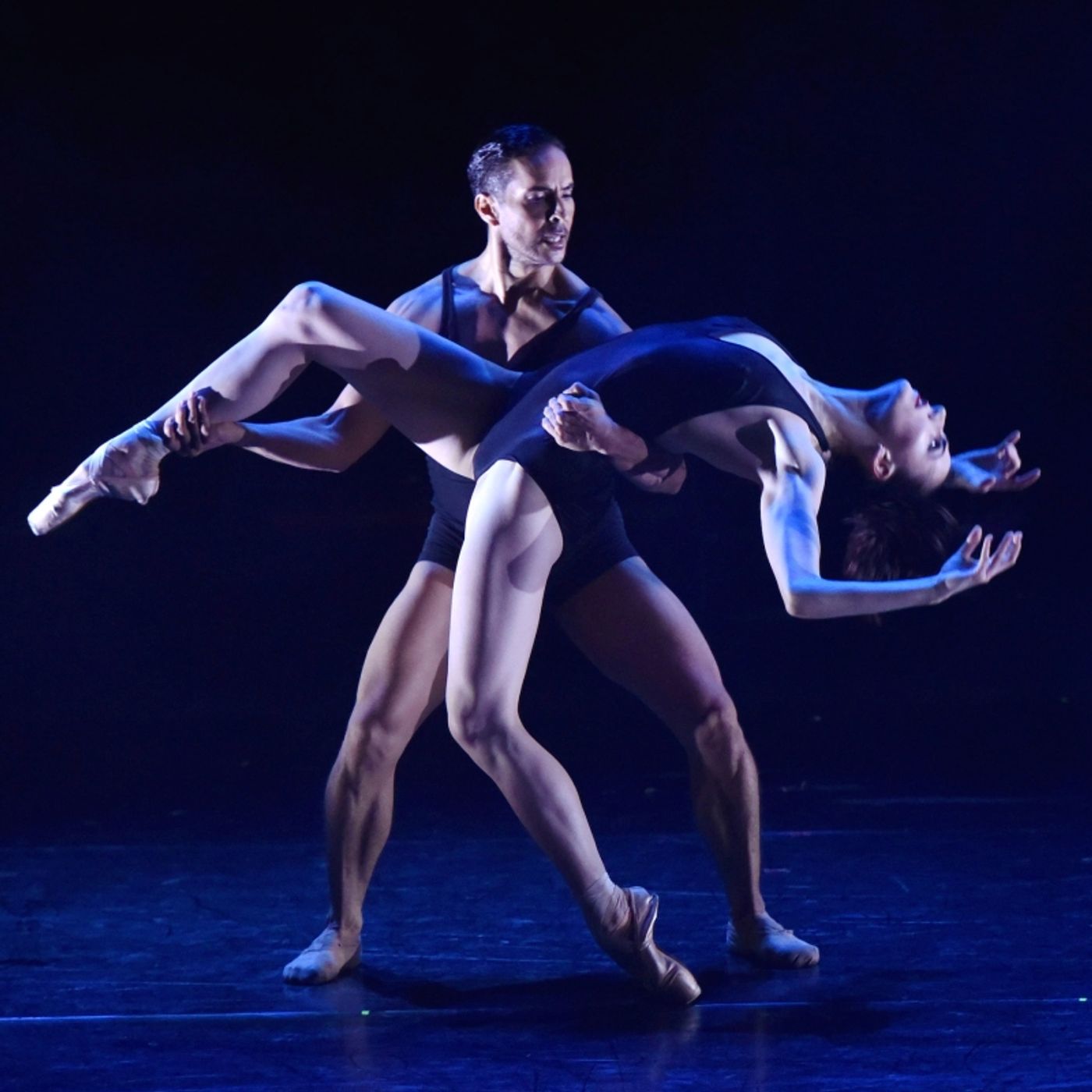 Review: The Luminous and Exhilarating Luminario Ballet  Presents HARD AS A ROCK at Avalon Hollywood  Image