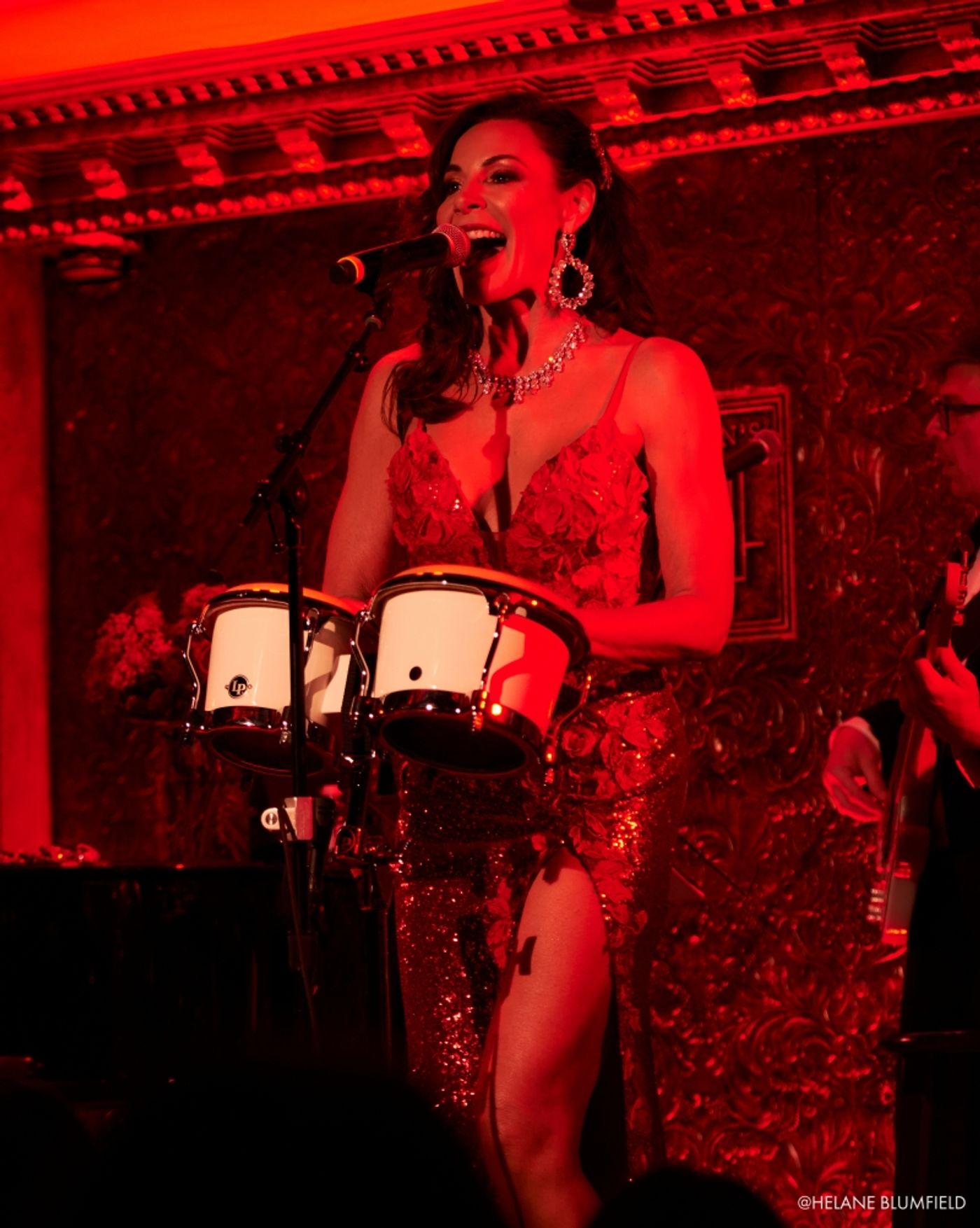 Photo Flash: Luann de Lesseps A VERY COUNTESS CHRISTMAS! at Feinstein's/54 Below Caught In The Act by Helane Blumfield Photo Flash: Luann de Lesseps A VERY COUNTESS CHRISTMAS! at Feinstein's/54 Below Caught In The Act by Helane Blumfield Image