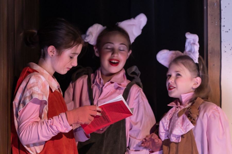 Photos: First look at Worthington Community Theatre's A FAIRYTALE CHRISTMAS CAROL Image