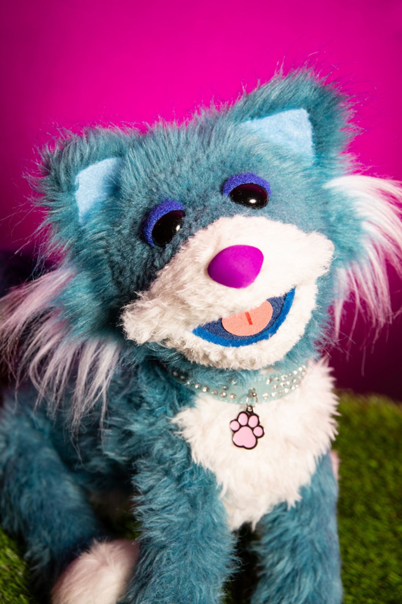 Photos: Meet The Dogs (and Cat) of RESCUE RUE, A New Musical Fairytale At DR2  Image