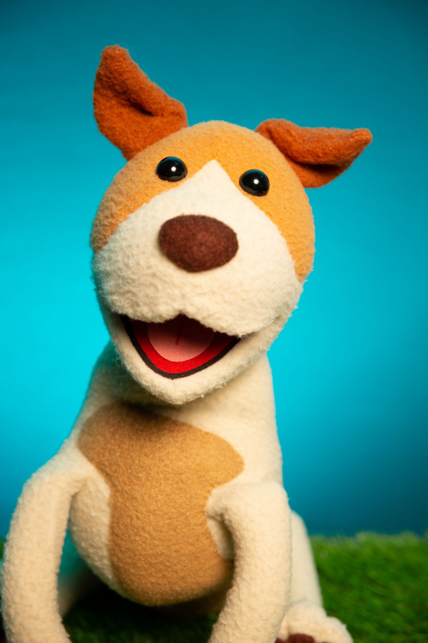 Photos: Meet The Dogs (and Cat) of RESCUE RUE, A New Musical Fairytale At DR2  Image