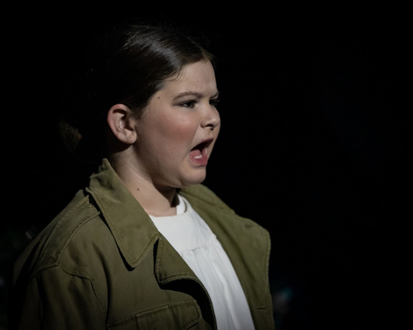 Photos: First Look At VPCT's IT'S A WONDERFUL LIFE  Image