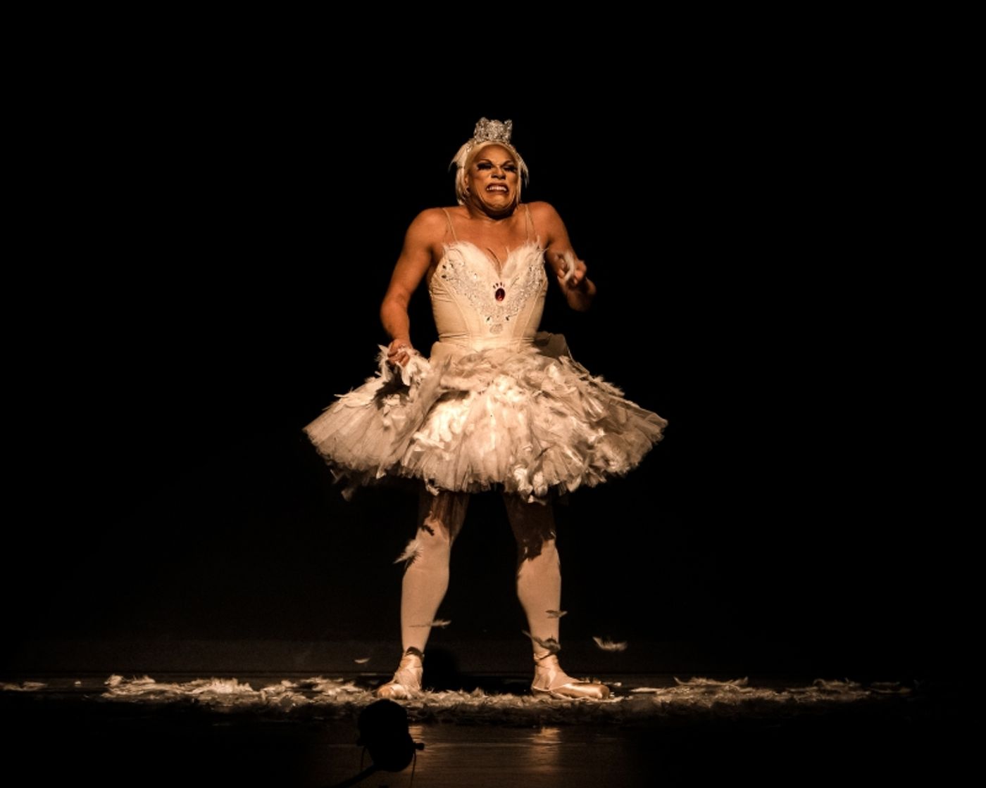 Review: LES BALLETS TROCKADERO DE MONTE CARLO at The Joyce Theater  Image