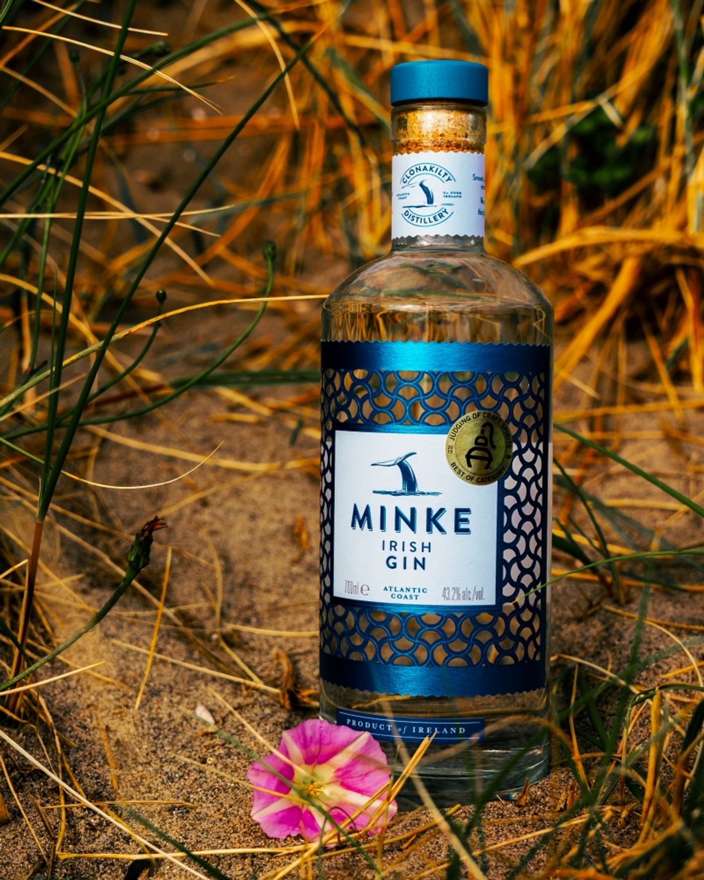 GINuary is Here-Our Gin Selections for January and Beyond  Image