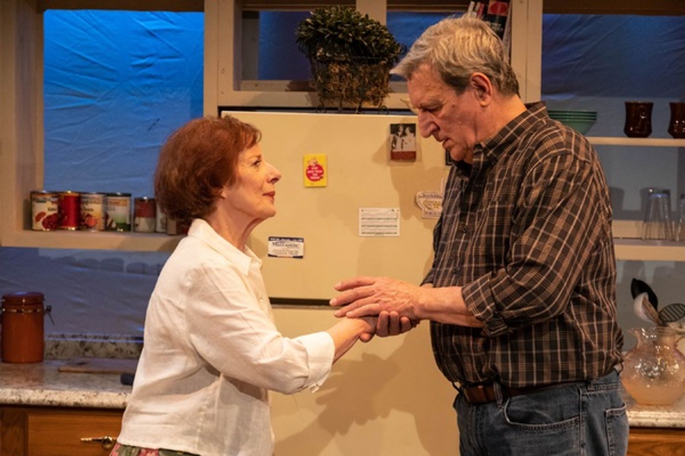 Photos: First Look at Vintage Theatre Productions' FIREFLIES  Image