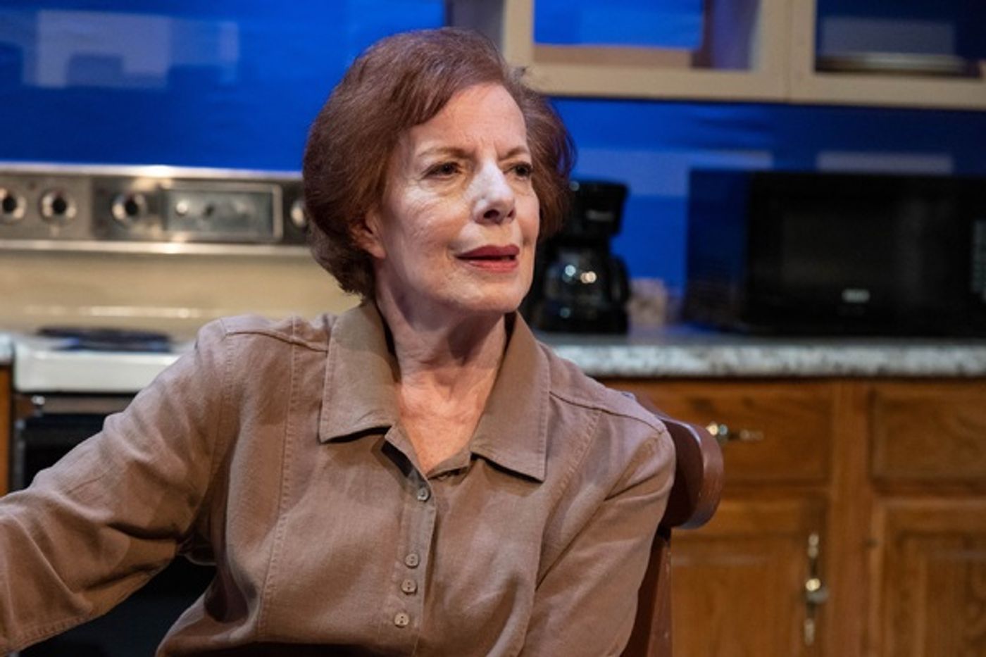 Photos: First Look at Vintage Theatre Productions' FIREFLIES  Image