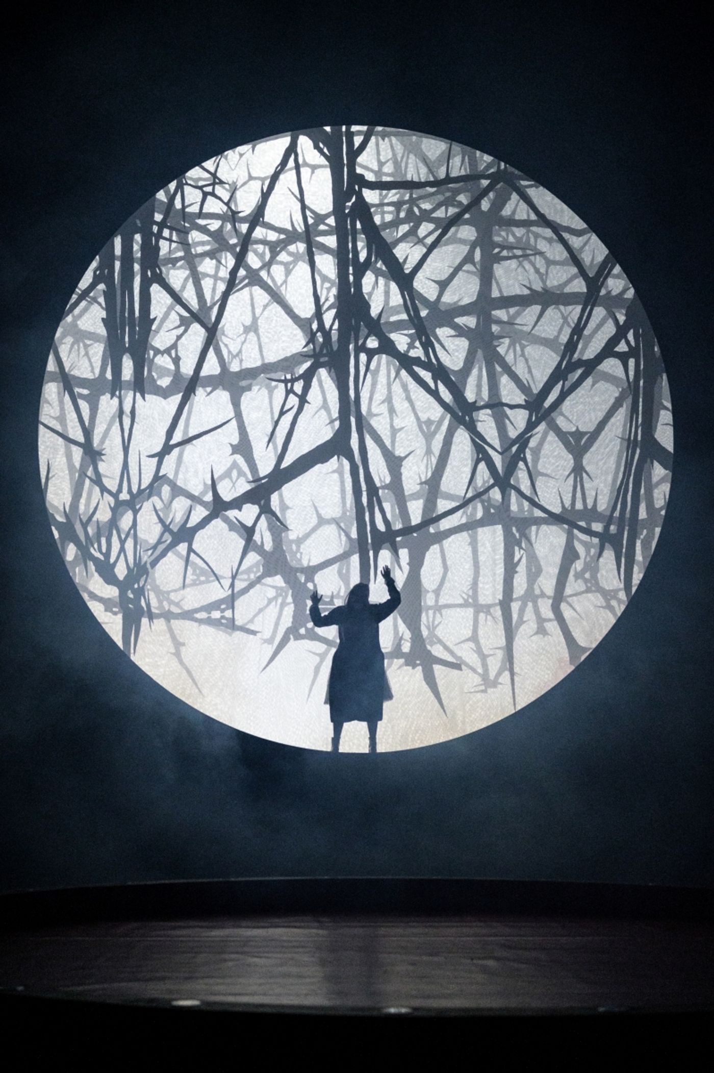 KRÁSKA A ZVÍŘE v Národním divadle  Image