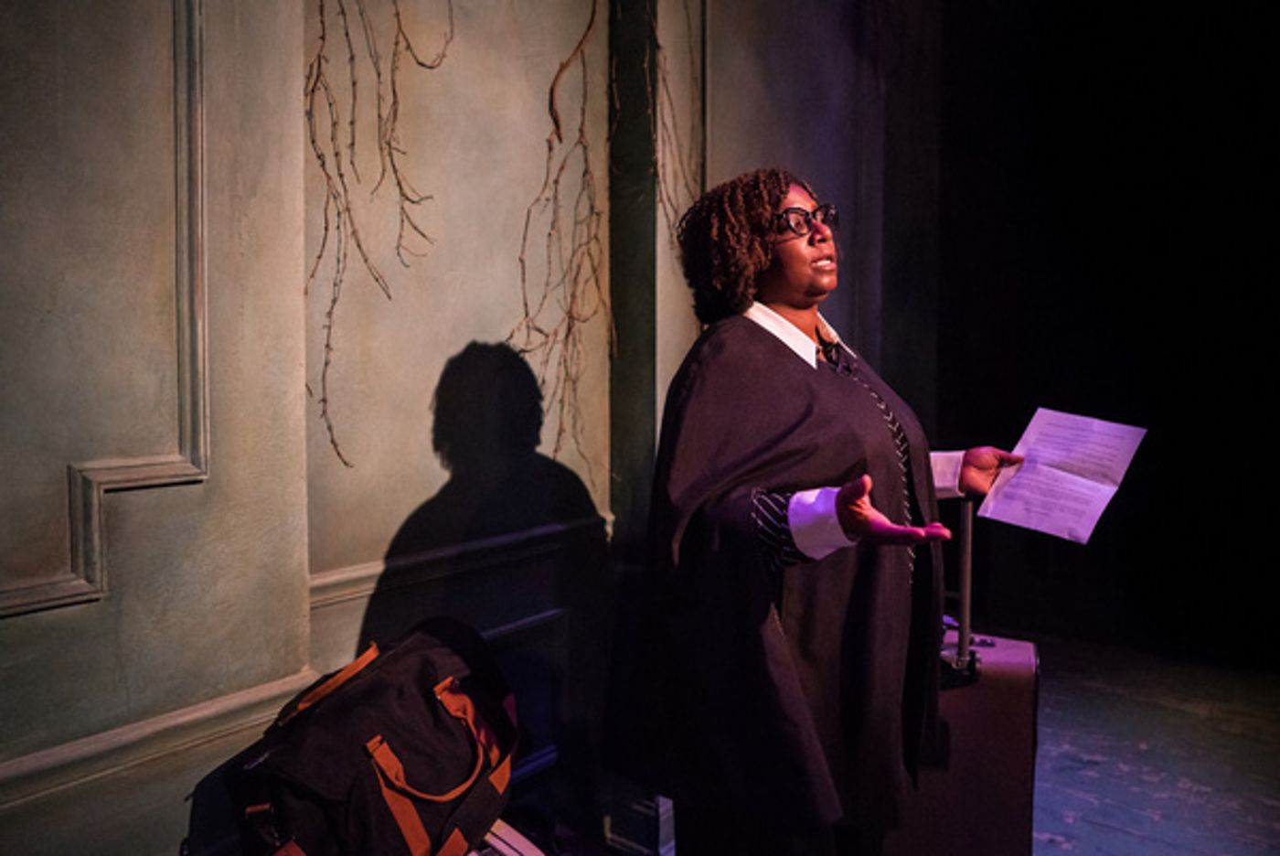 Photos: Compass Theatre's WELLESLEY GIRL Premieres At Theater Wit  Image