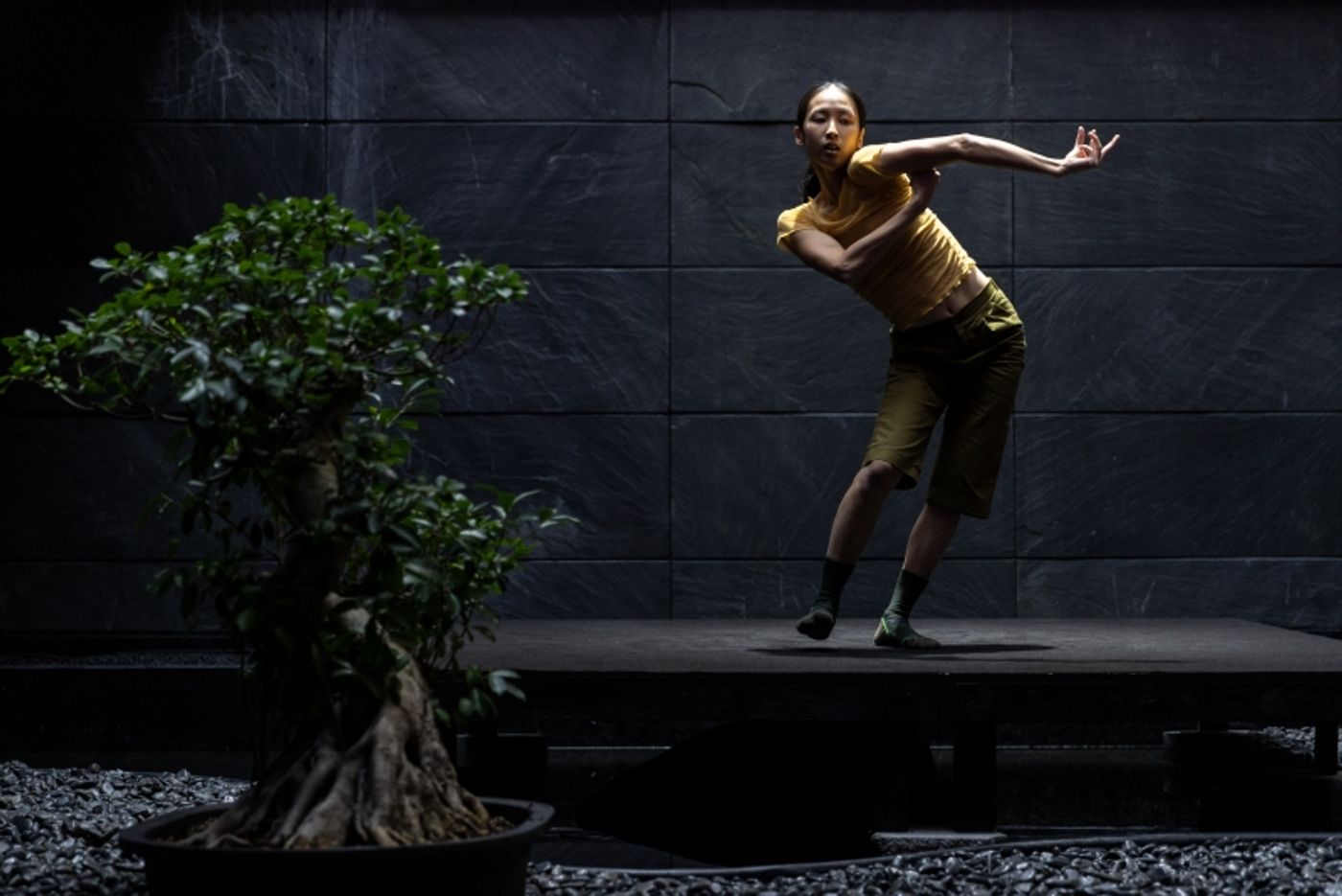 Review: CONTEMPORARY DANCE FESTIVAL 2022: JAPAN + EAST ASIA at Japan Society  Image