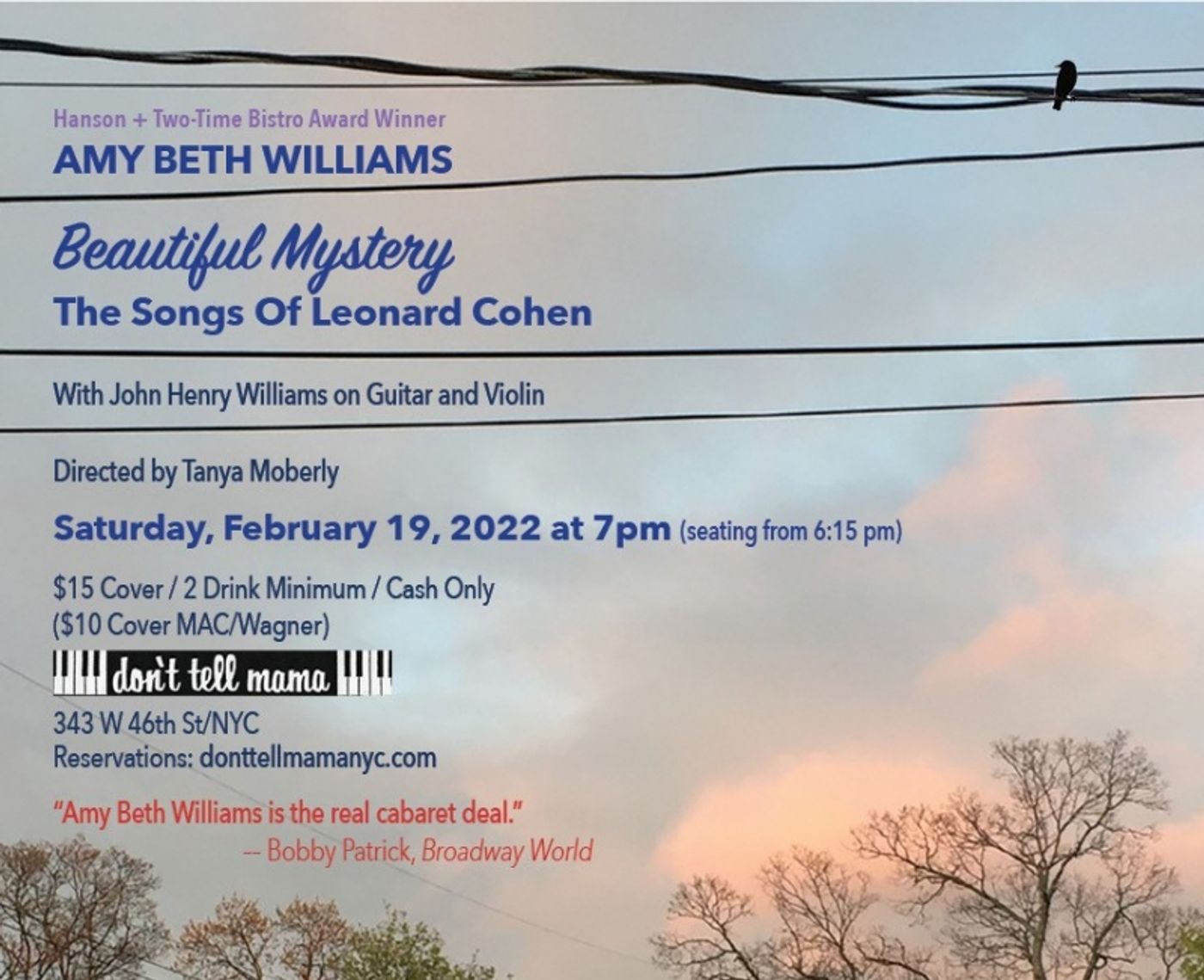 Amy Beth Williams Returns to Don't Tell Mama with BEAUTIFUL MYSTERY: THE SONGS OF LEONARD COHEN February 19th  Image