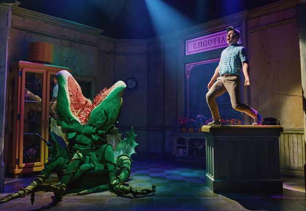 Photos: First Look at Conrad Ricamora as Seymour in LITTLE SHOP OF HORRORS — photo 5 of 18