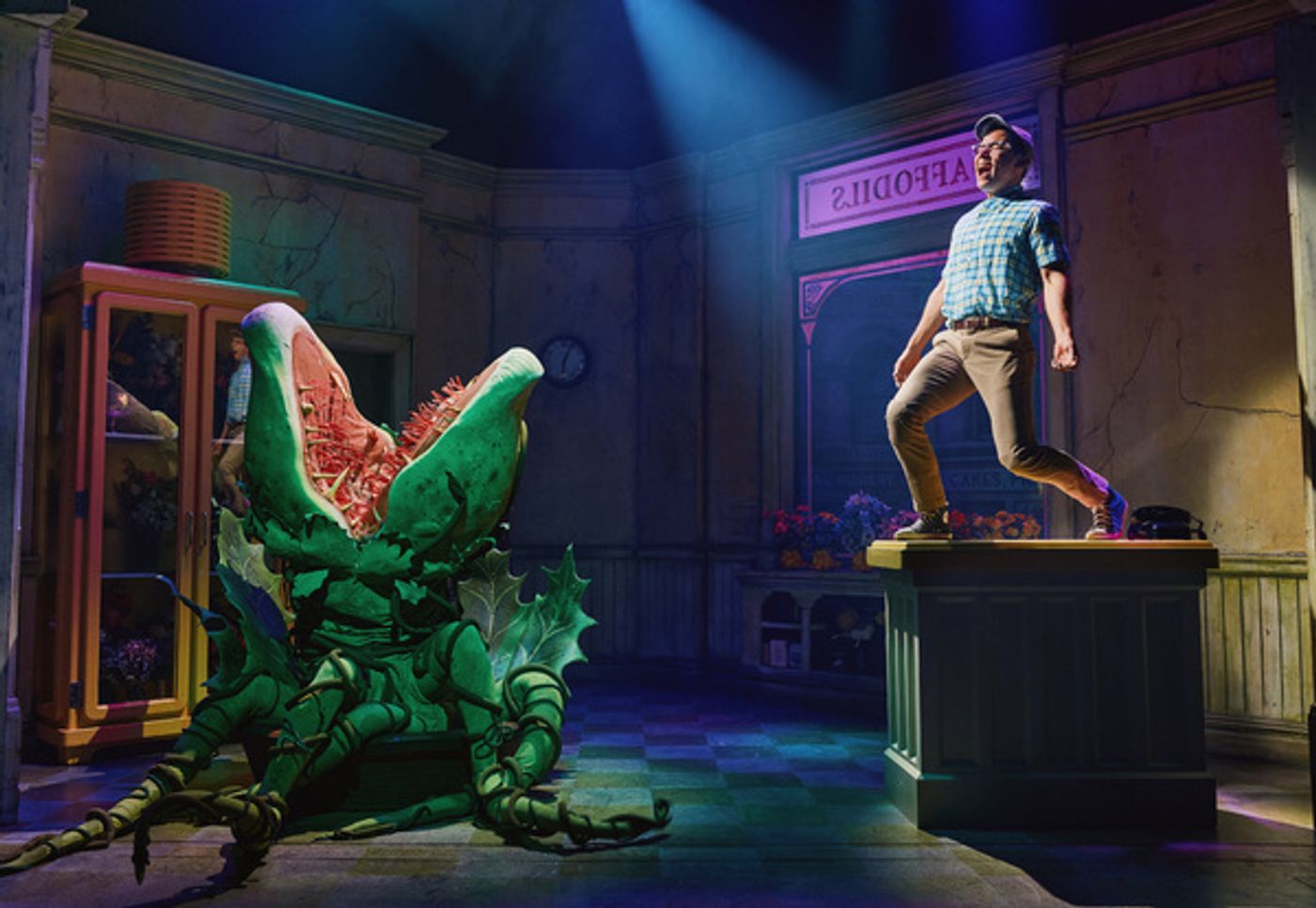 Photos: First Look at Conrad Ricamora as Seymour in LITTLE SHOP OF HORRORS  Image