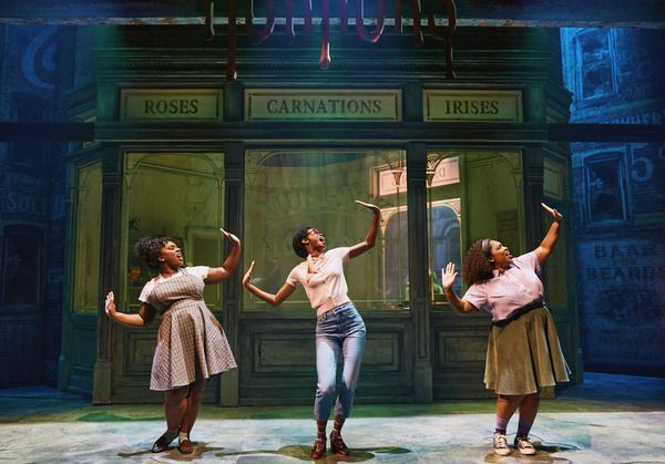 Photos: First Look at Conrad Ricamora as Seymour in LITTLE SHOP OF HORRORS — photo 1 of 18