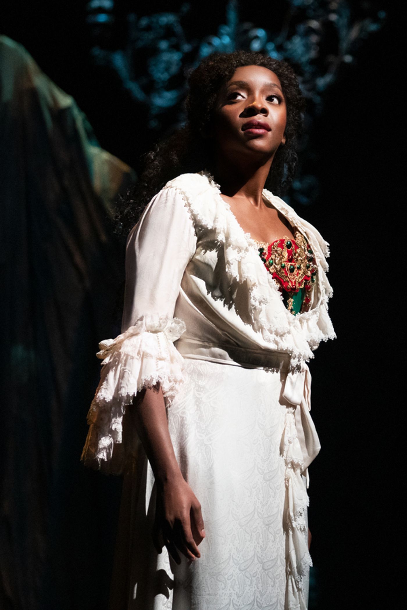 Photos: Ben Crawford, Emilie Kouatchou and More Star in THE PHANTOM OF THE OPERA on Broadway!  Image