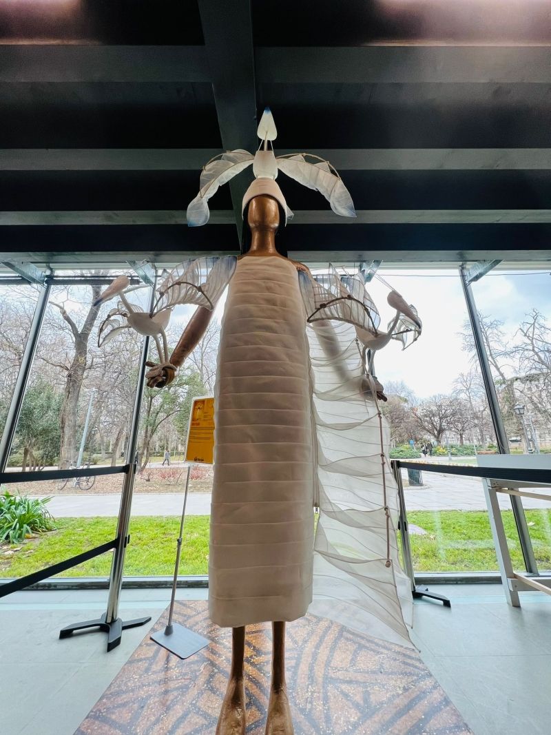 EL REY LEÓN celebra su 10º aniversario con una exposición en el Retiro de Madrid  Image