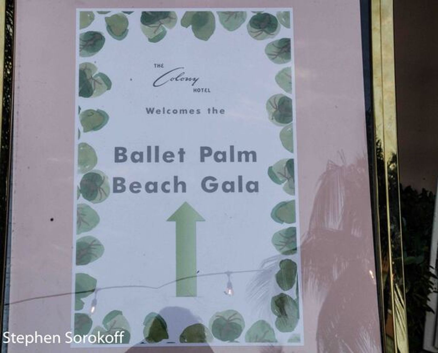 Photo Coverage: Dancing Under The Stars At The Ballet Palm Beach Gala  Image