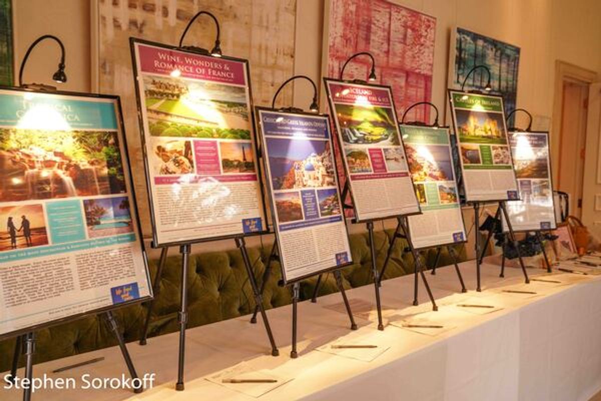 Silent Auction at Dancing Under The Stars At The Ballet Palm Beach Gala