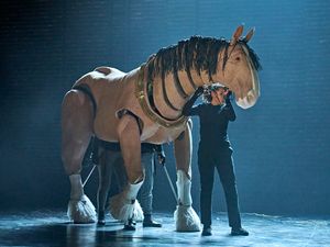 Boxer (puppeteers Sharon Sze, Enrico D. Wey and Yana Penrose) Photo