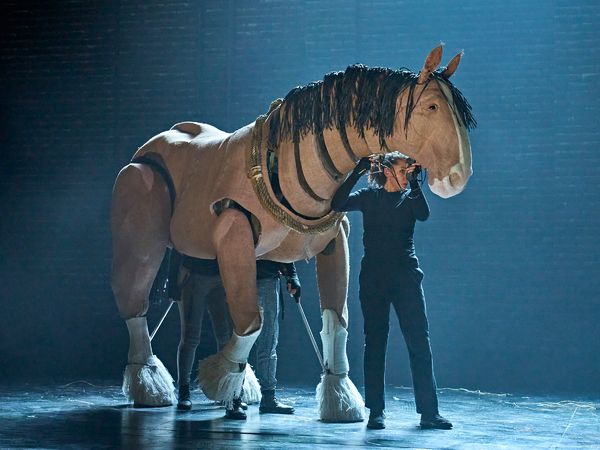 Boxer (puppeteers Sharon Sze, Enrico D. Wey and Yana Penrose) Photo