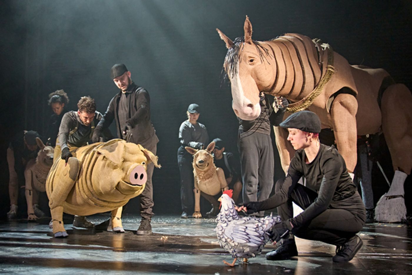 Photos: Check Out New Images of ANIMAL FARM UK Tour  Image