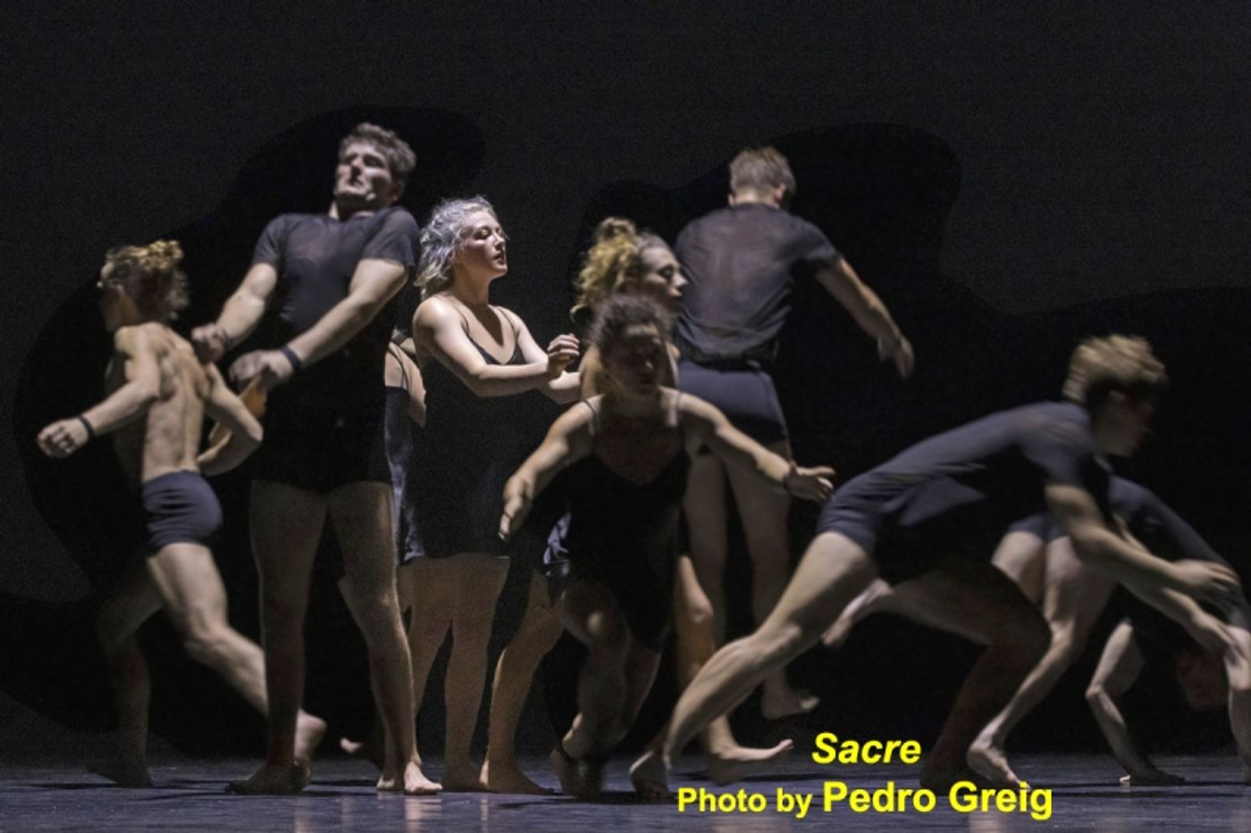 Interview: Circa's Yaron Lifschitz Loves Circa's Shows As If They Were His Children  Image