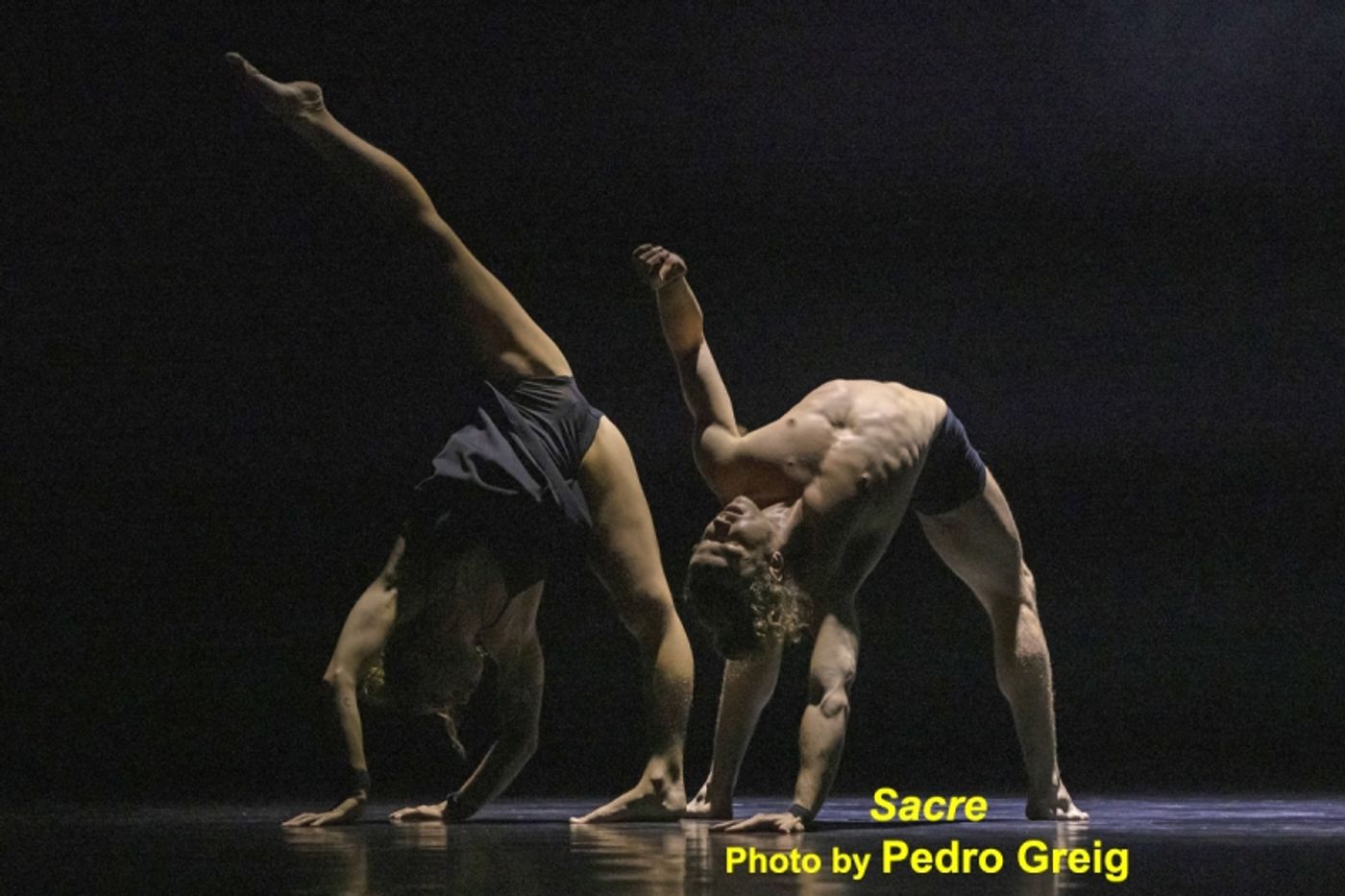 Interview: Circa's Yaron Lifschitz Loves Circa's Shows As If They Were His Children  Image