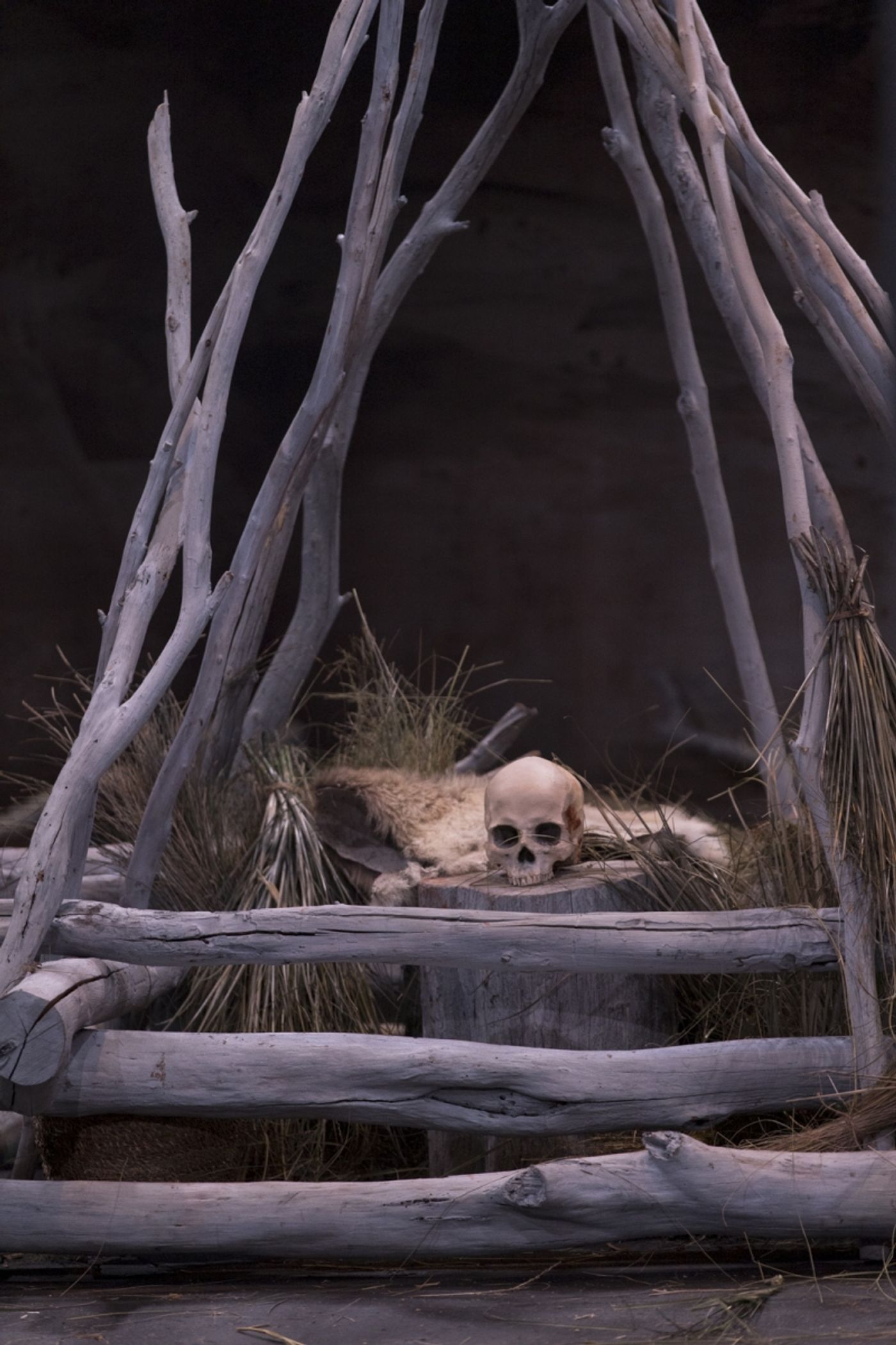 Review: Nathan Maynard's AT WHAT COST? Is A Powerful Insight Into The Historic Treatment Of Tasmania's Indigenous Community And The Ongoing Fight Against Exploitation  Image