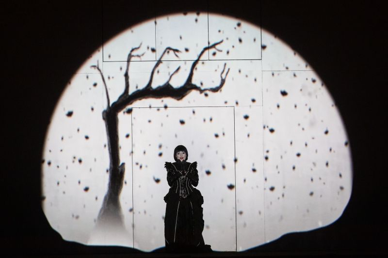 Review: Houston Grand Opera's Pushes Boundaries in Mozart's Exhilarating THE MAGIC FLUTE  Image