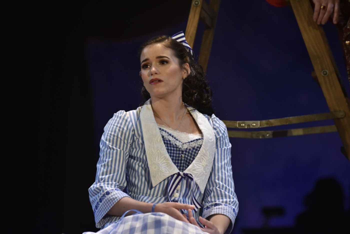 Review: THE FANTASTICKS at Orlando Shakes  Image