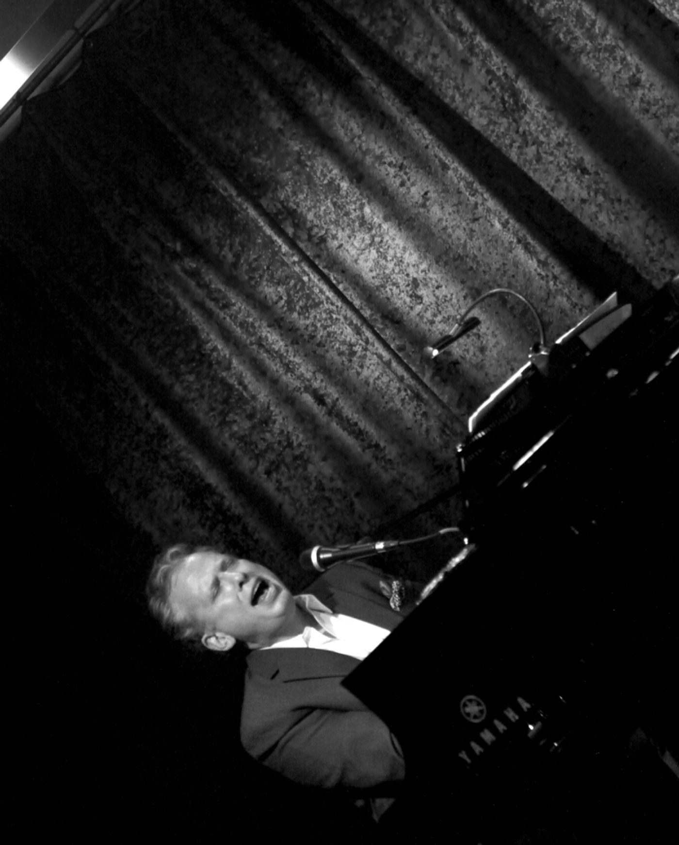 Review: Put a Bow On BILLY STRITCH BIG BIRDLAND BIRTHDAY BASH! - A Swell, Shiny Gift For All To Enjoy  Image