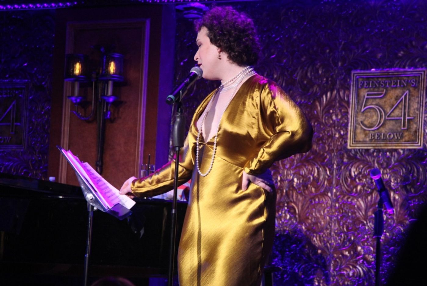 Photo Flash: ESTHER FALLICK UPDATES HER BOOK at 54 Below Introduces a New Artist to the Cabaret Stage  Image