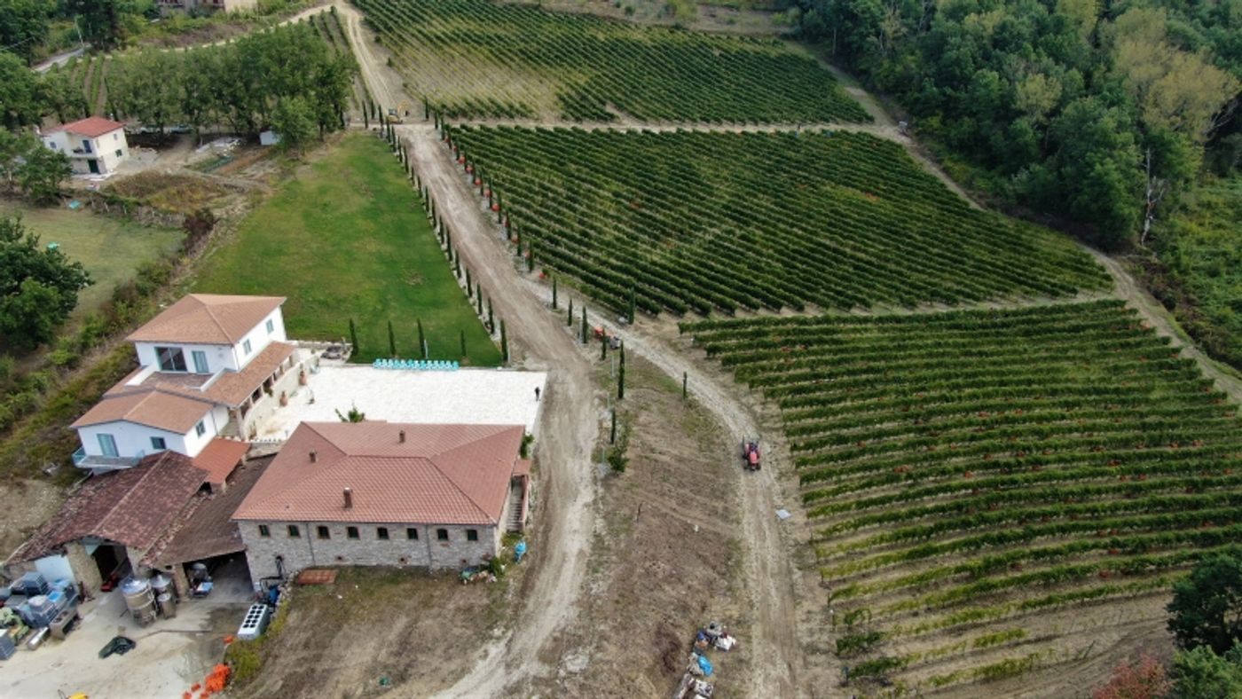 Bringing Campania Wines Back On Top-A Success Story Bringing Campania Wines Back On Top-A Success Story Image