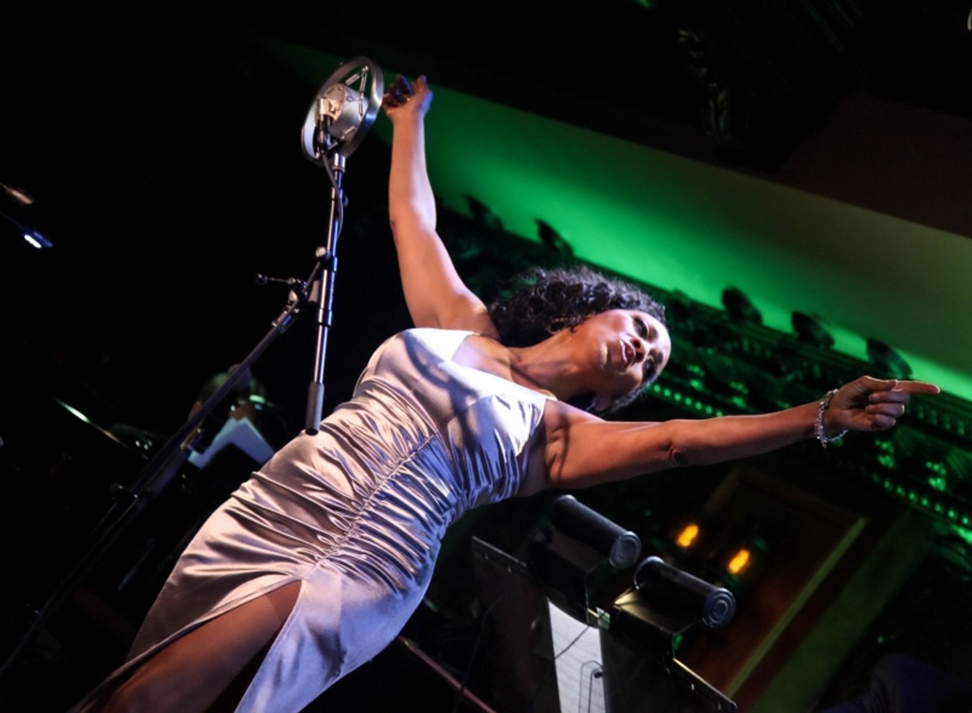 Review: A TIN PAN ALLEY CELEBRATION OF BLACK HISTORY MONTH Gives 54 Below Audiences Gabrielle Lee at Her Saucy Sassy Best Review: A TIN PAN ALLEY CELEBRATION OF BLACK HISTORY MONTH Gives 54 Below Audiences Gabrielle Lee at Her Saucy Sassy Best Image