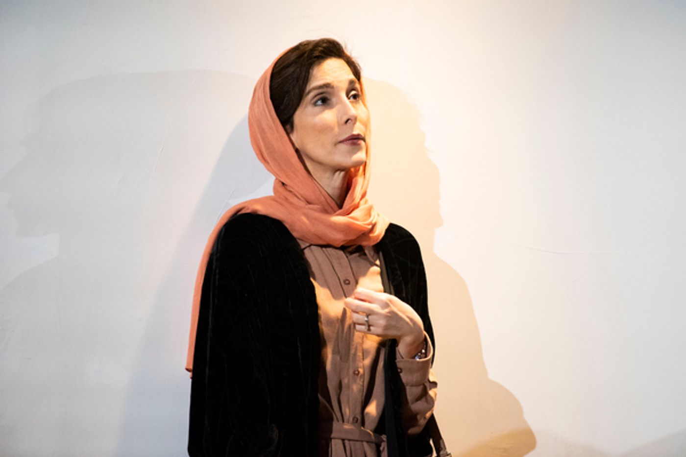 Photos: First Look at Atlantic Theater Company's ENGLISH  Image